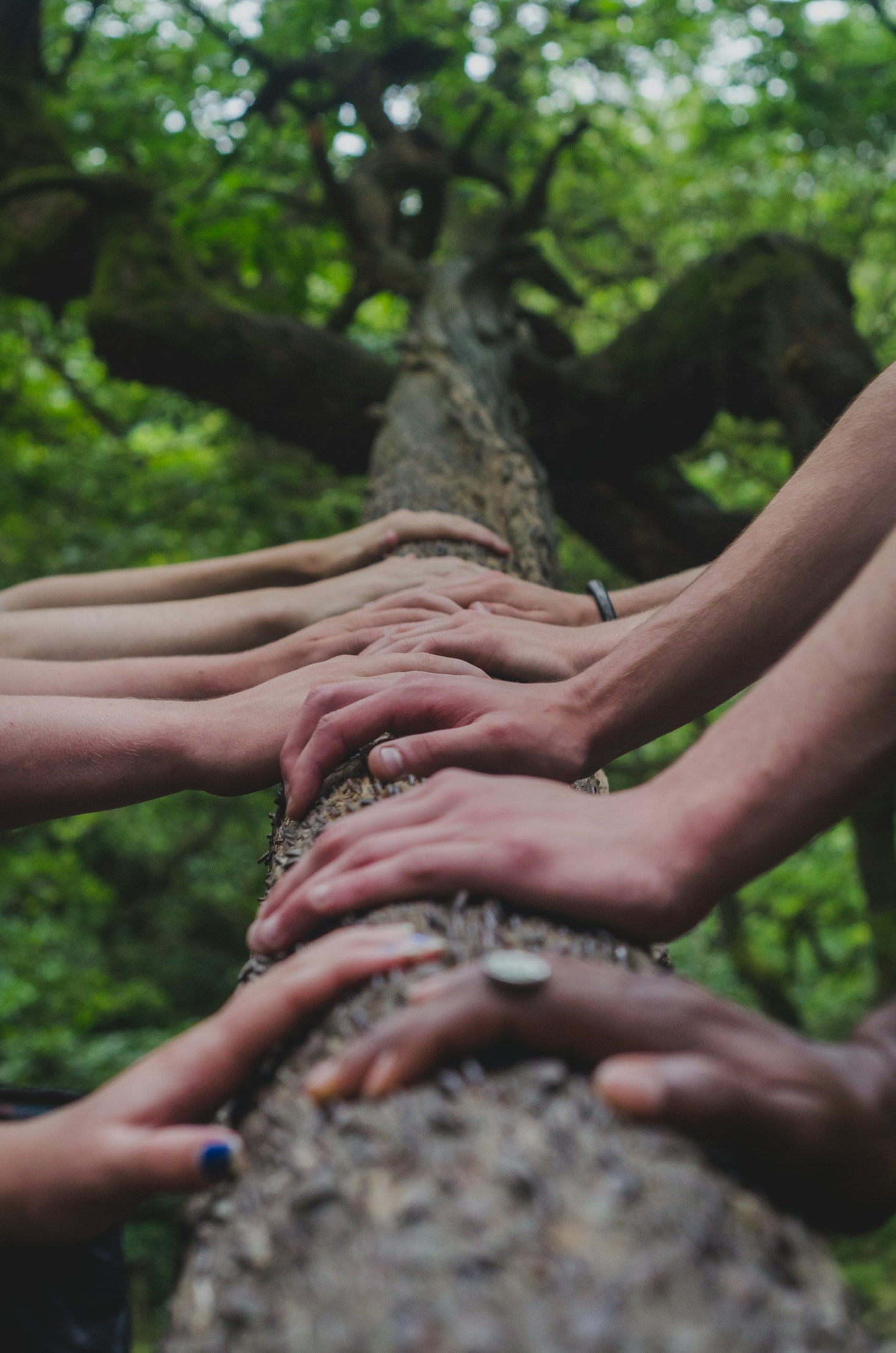 How Shared Knowledge Bridges Cultural Gaps